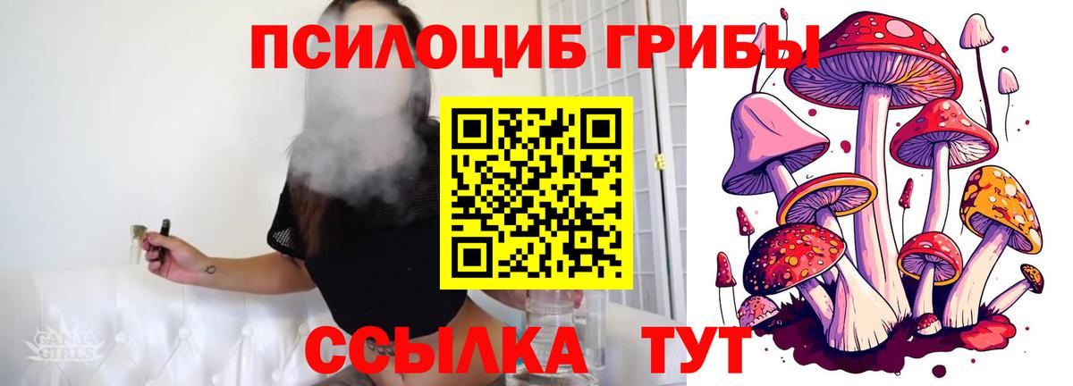 Красноармейск  Псилоцибиновые грибы Psilocybe  Вход с VPN 