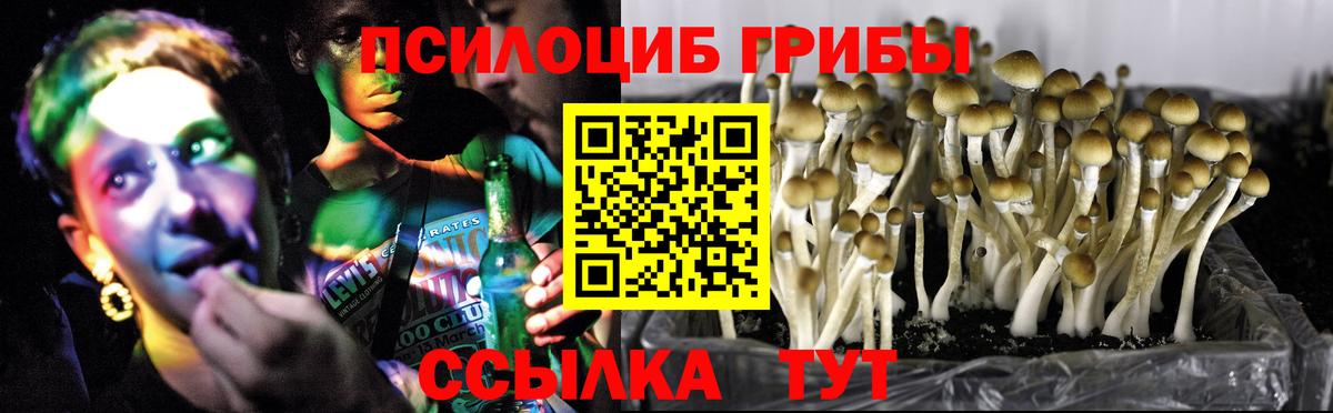 Галлюциногенные грибы GOLDEN TEACHER Красноармейск